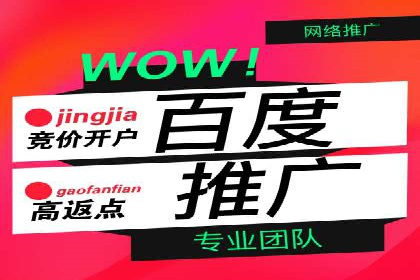网络推广策略：竞价广告的实践案例